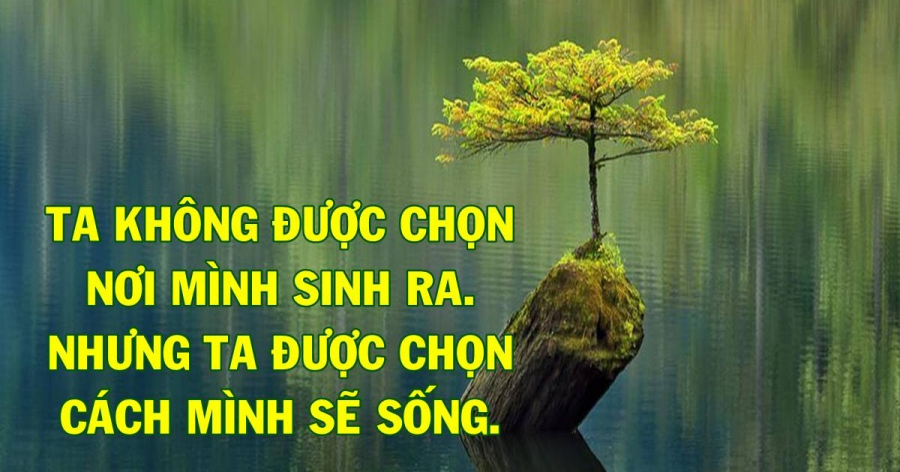 Ta-Duoc_chon-Cach-Minh-Song