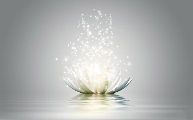 lotus-flower-3d-hd-wallpapers