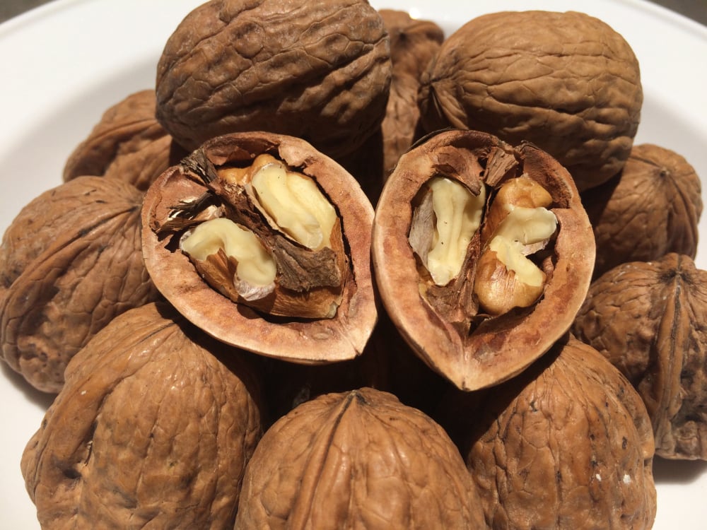 nguoi-bi-benh-tim-co-an-duoc-qua-oc-cho-khong (1)