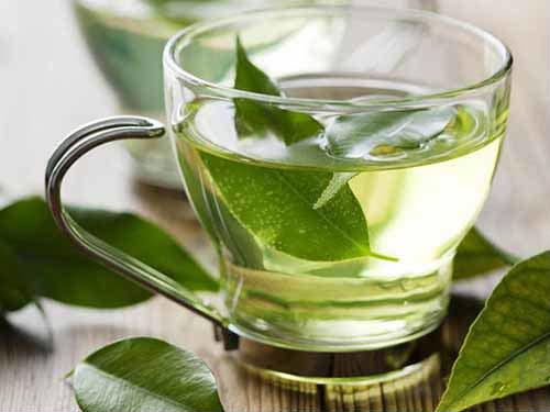 dot-chay-mo-thua-bang-tra-gung-mat-ong-nong2-2018-02-12-11-31_0_0