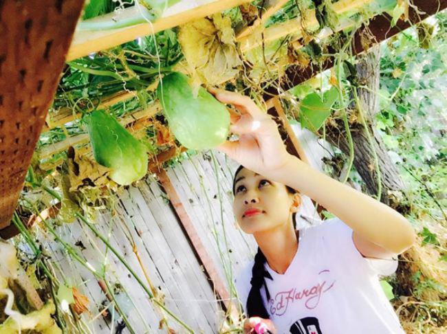 Những hình ảnh Dương Mỹ Linh chia sẻ trên trang cá nhân cho thấy cô còn thường xuyên sử dụng rau xanh trong vườn nhà để nấu ăn, và tự tay tỉa cây, chăm bón từng góc nhỏ.  