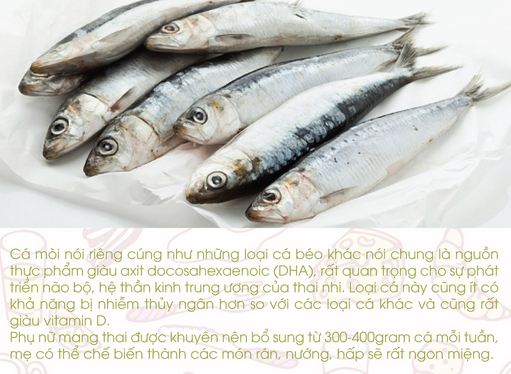 Cá mòi nói riêng cũng như những loại cá béo khác nói chung là nguồn thực phẩm giàu axit docosahexaenoic (DHA), rất quan trọng cho sự phát triển não bộ, hệ thần kinh trung ương của thai nhi. Loại cá này cũng ít có khả năng bị nhiễm thủy ngân hơn so với các loại cá khác và cũng rất giàu vitamin D. Phụ nữ mang thai được khuyên nên bổ sung 300-400gram cá mỗi tuần.