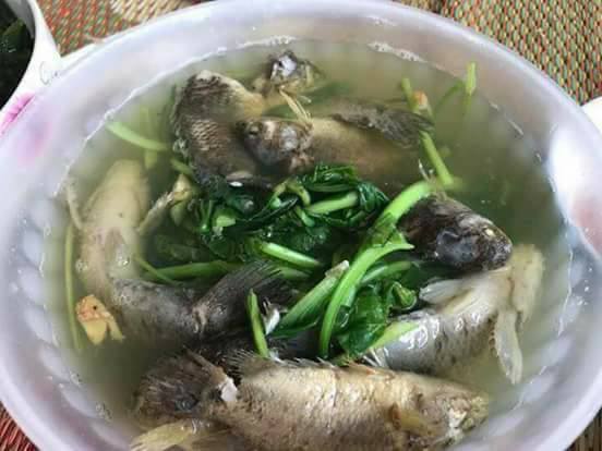 canh-ca-ro-dong-nguyen-co