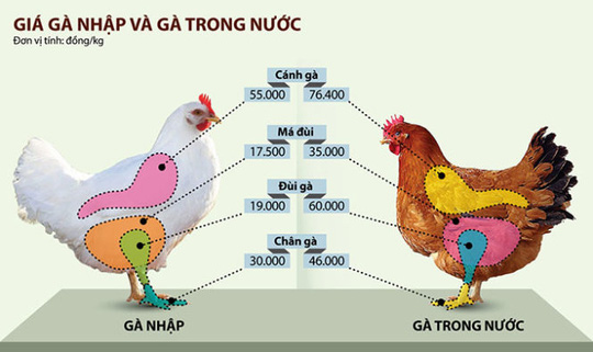So sánh giá bán một số bộ phận của gà nội địa và gà ngoại nhập (ảnh: Tấn Đạt)