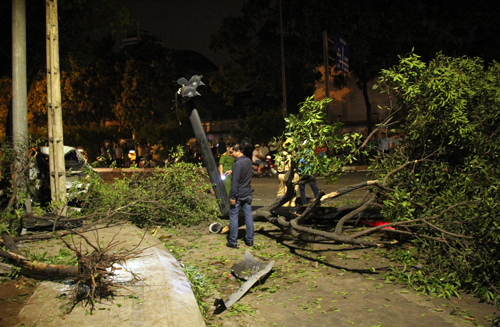 Nhiều cây xanh cùng 1 trụ đèn giao thông ngã đổ sau vụ tai nạn (ảnh: vnexpress)