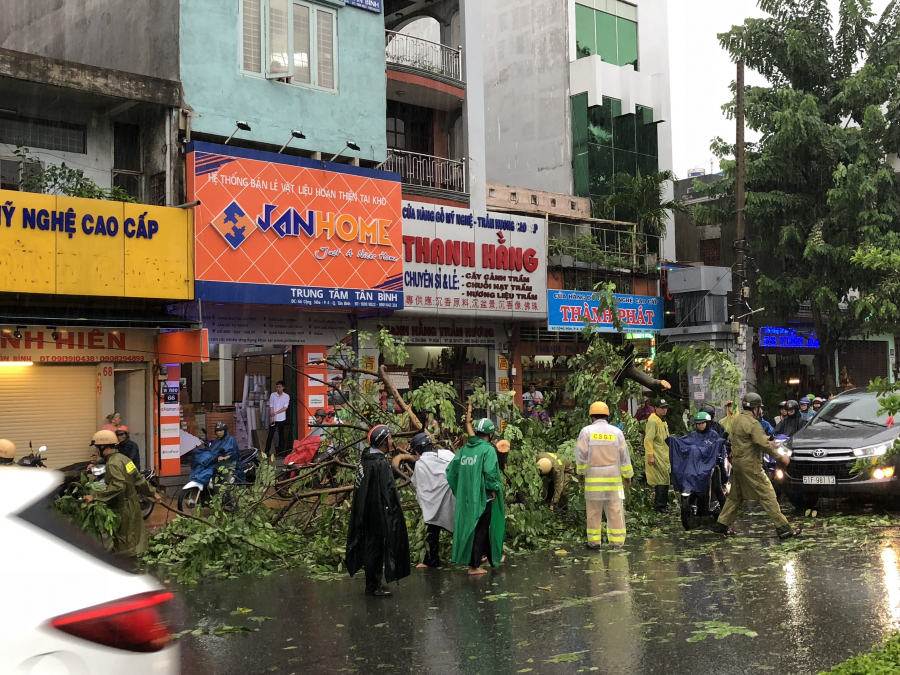Một cây xanh bị đổ trên đường Cộng Hòa (quận Tân Bình) gây cản trở giao thông