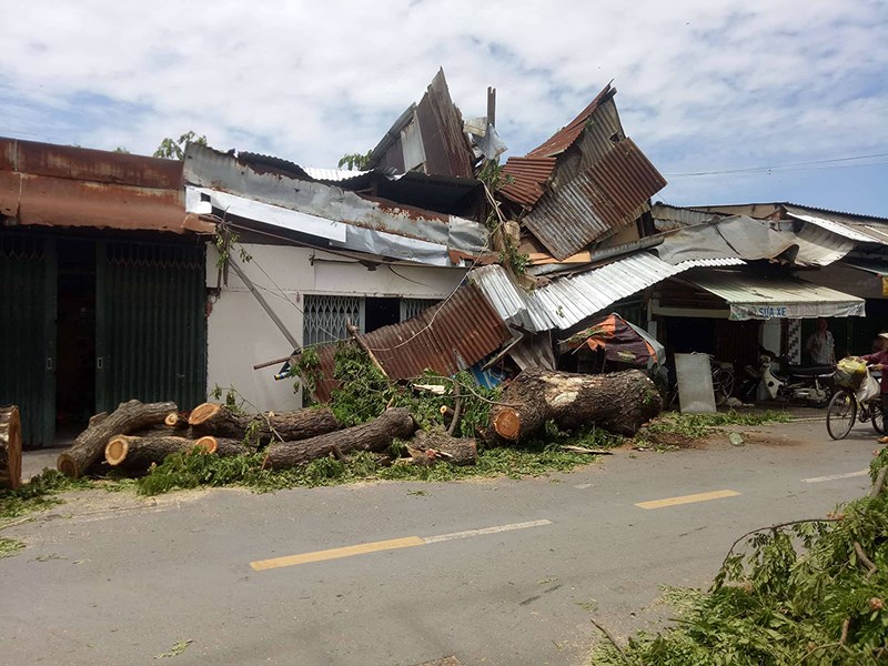 Vụ đổ cây khiến 2 căn nhà đổ sụp, hư hỏng và 1 bé gái 13 tuổi bị thương