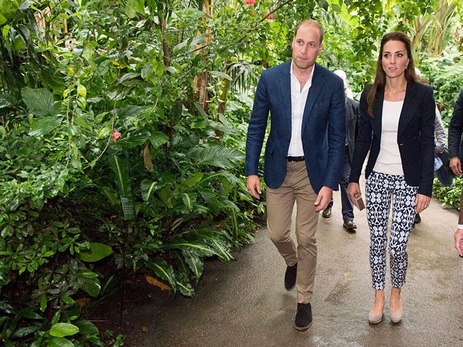 Chiếc quần hoạ tiết của Kate Middleton trong chuyến đi cùng Hoàng tử William tới Eden Project ở Cornwall vào năm 2016 có giá 30 USD.  