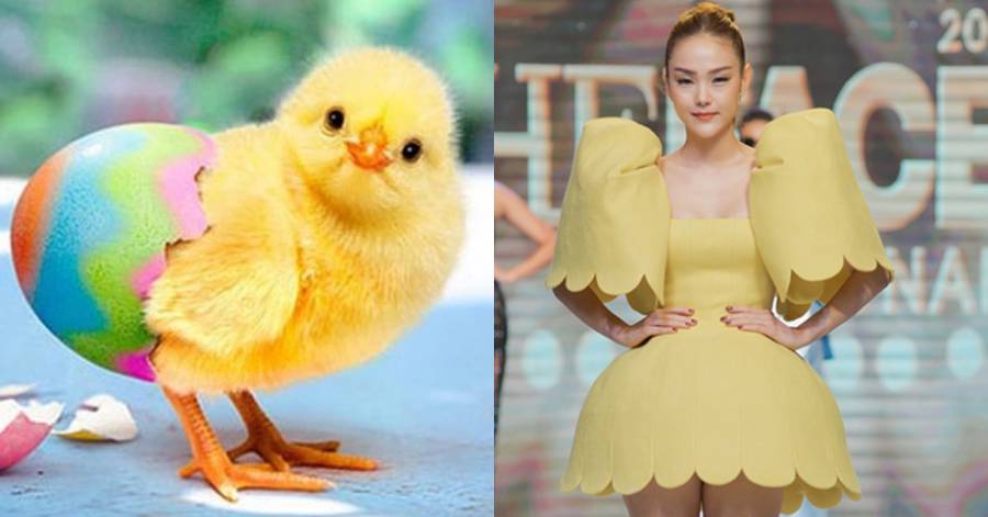 Hình ảnh Minh Hằng diện váy xoè tạo khối còn được mang ra so sánh với chú gà con    