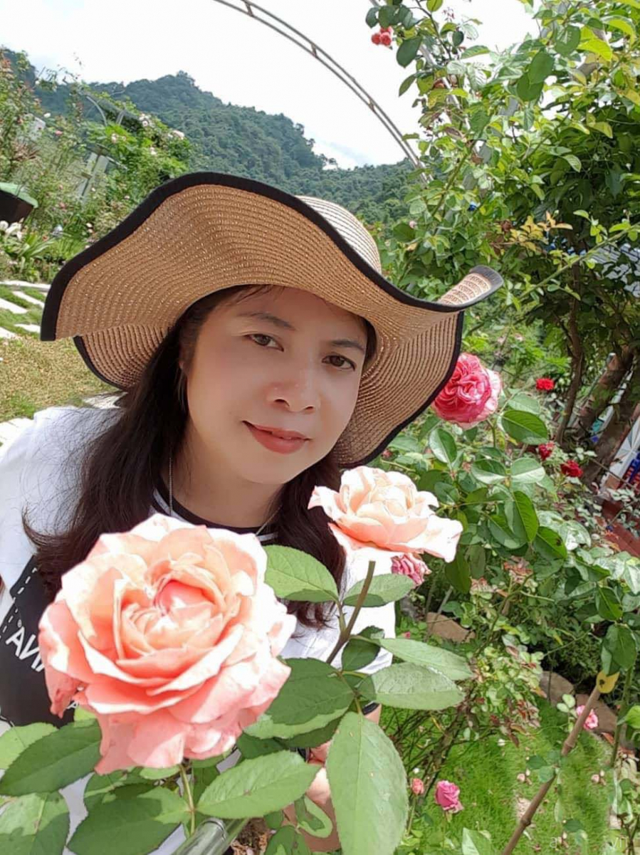Chị Tuyết Mai dành tình cảm đặc biệt cho hoa hồng.    
