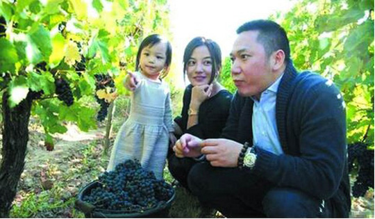 Triệu Vy cùng chồng và con gái trong vườn nho trĩu quả.    