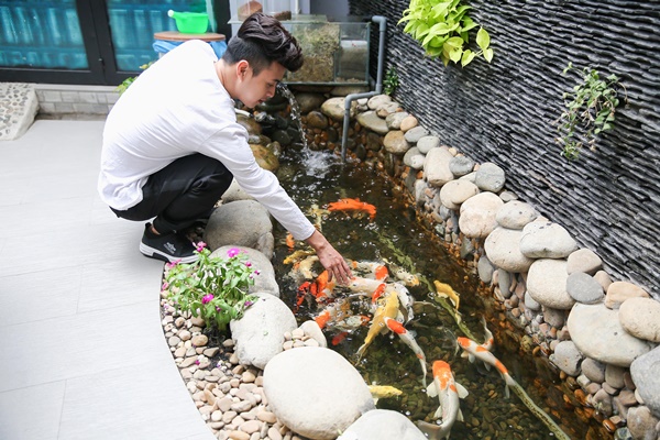 Ngoài ra ở nhà Hồ Quang Hiếu còn có một hồ cá nhỏ, những lúc rảnh rỗi anh chọn cách cho cá ăn như một cách xả bớt nỗi buồn    
