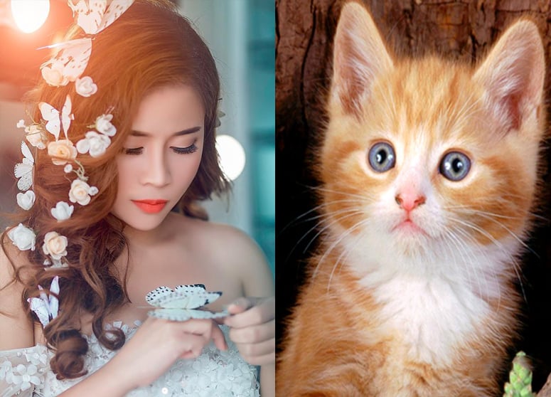 Top 3 con giáp sẽ có TIỀN NHÉT CĂNG VÍ do được THẦN TÀI trở mình chiếu cố  vào những tháng cuối năm 2018