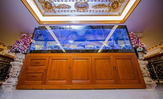 Bể cá khổng lồ đẹp lung linh được đặt giữa nhà.    