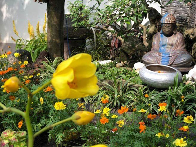 Khu vườn mang lại cảm giác tĩnh tâm và an lành.