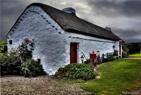 Ngôi nhà với những bụi hoa hồng ở Ireland.    