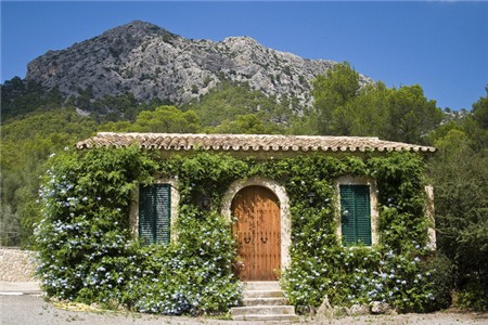 Nằm giữa vùng đồi núi hẻo lánh ở Mallorca, Tây Ban Nha, ngôi nhà như một nét điểm xuyết đầy thi vị nhờ bức tường dây leo xanh mướt.    
