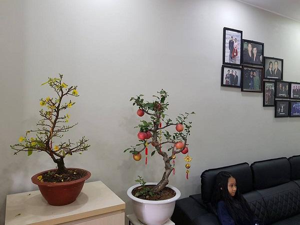 Không gian căn hộ mà Minh Tiệp và vợ hiện đang ở.