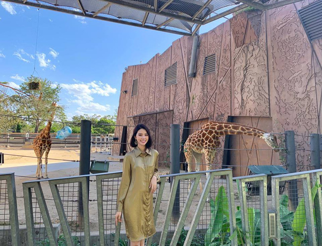 Jolie Nguyễn cũng khiến fan ngạc nhiên với street style của mình. Hoa hậu con nhà giàu bình thường phá cách, sexy là thế thì nay lại diện một thiết kế váy sơmi đơn giản.    