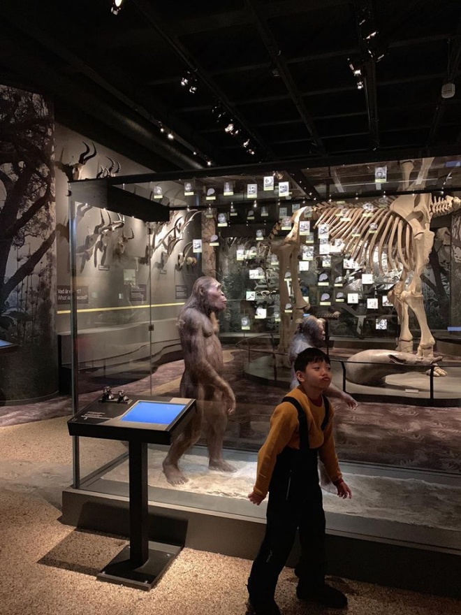 Subeo bắt chước những biểu cảm của các loài động vật và người nguyên thủy trong bảo tàng.    