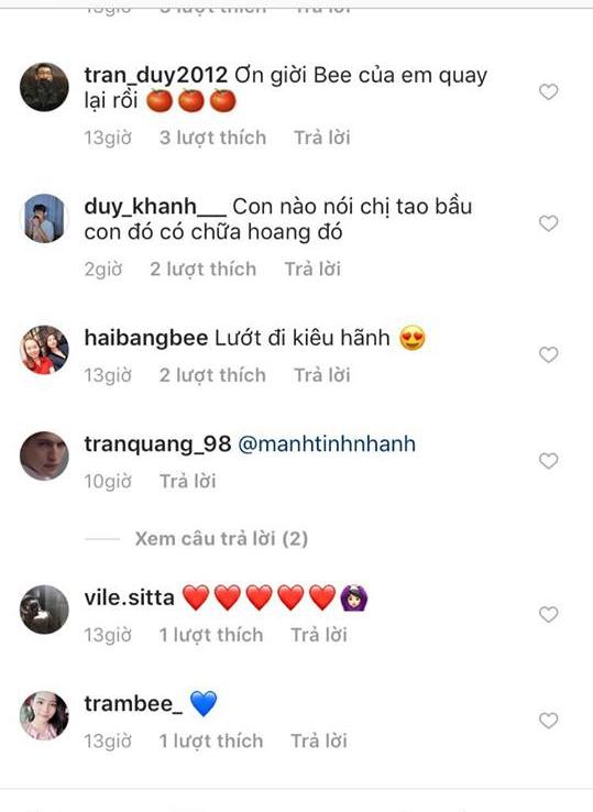 Những dòng bình luận vui mừng của fan Phạm Hương khi cô quay trở lại.