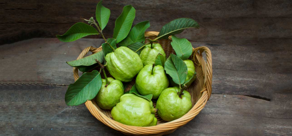 How-Are-Guava-Leaves-Beneficial-For-Your-Hair-1