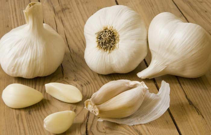 Garlic1-1