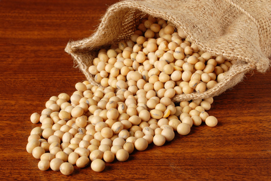 soy-protein(1)