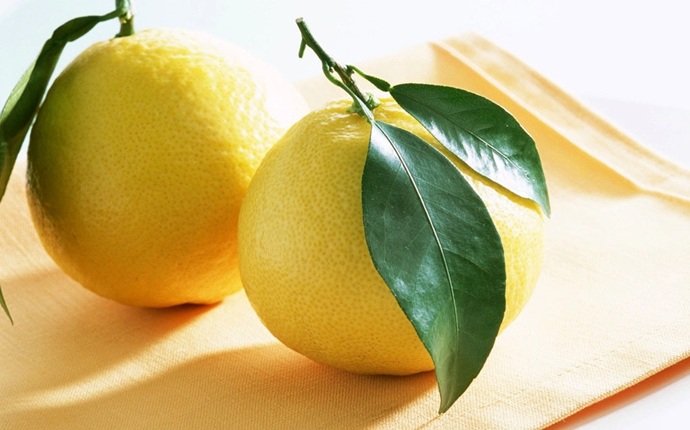 lemon-1