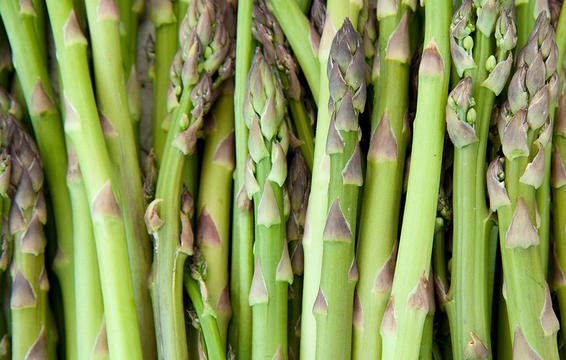 9-low-carb-foods-asparagus