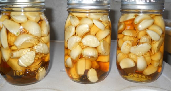 garlic-apple-cider-vinegar-honey-natural-combination-treats-many-diseases