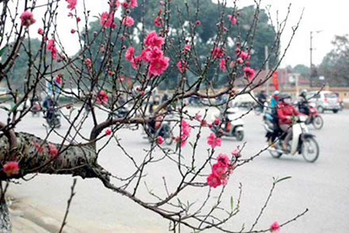Mùng 2 Tết, Bắc Bộ đón không khí lạnh, trời se lạnh, mưa phùn