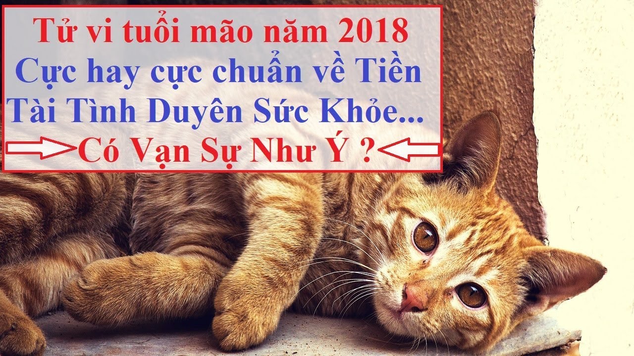 Tuổi Mão năm 2018 - những điều cần biết để tránh và hóa giải