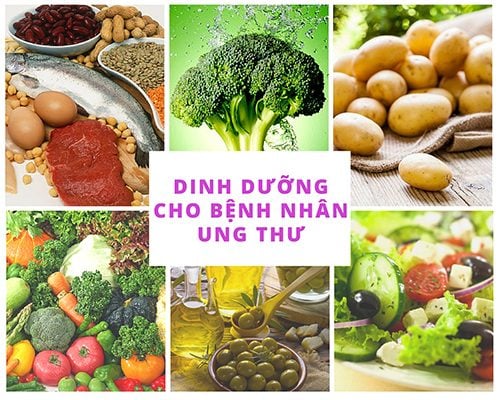 Chế độ dinh dưỡng cho người bị ung thư
