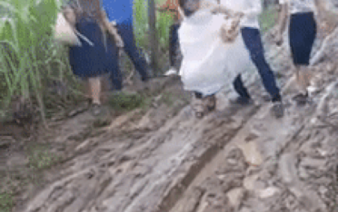 Đám cưới mùa mưa lũ: Cặp đôi cùng họ hàng hai bên lội bùn đưa dâu khiến cư dân mạng thích thú