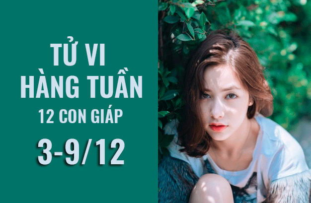 Tử vi tuần mới (3/12 - 9/12) chính xác nhất của 12 con giáp: Tuổi Sửu “tình ái thăng hoa”, Tý gặp cát tinh