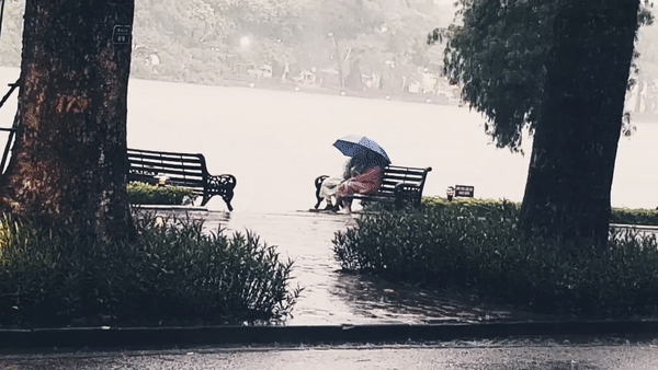 Bất chấp trời mưa, cặp đôi vẫn che ô rồi làm hành động này khiến bao người ngỡ ngàng