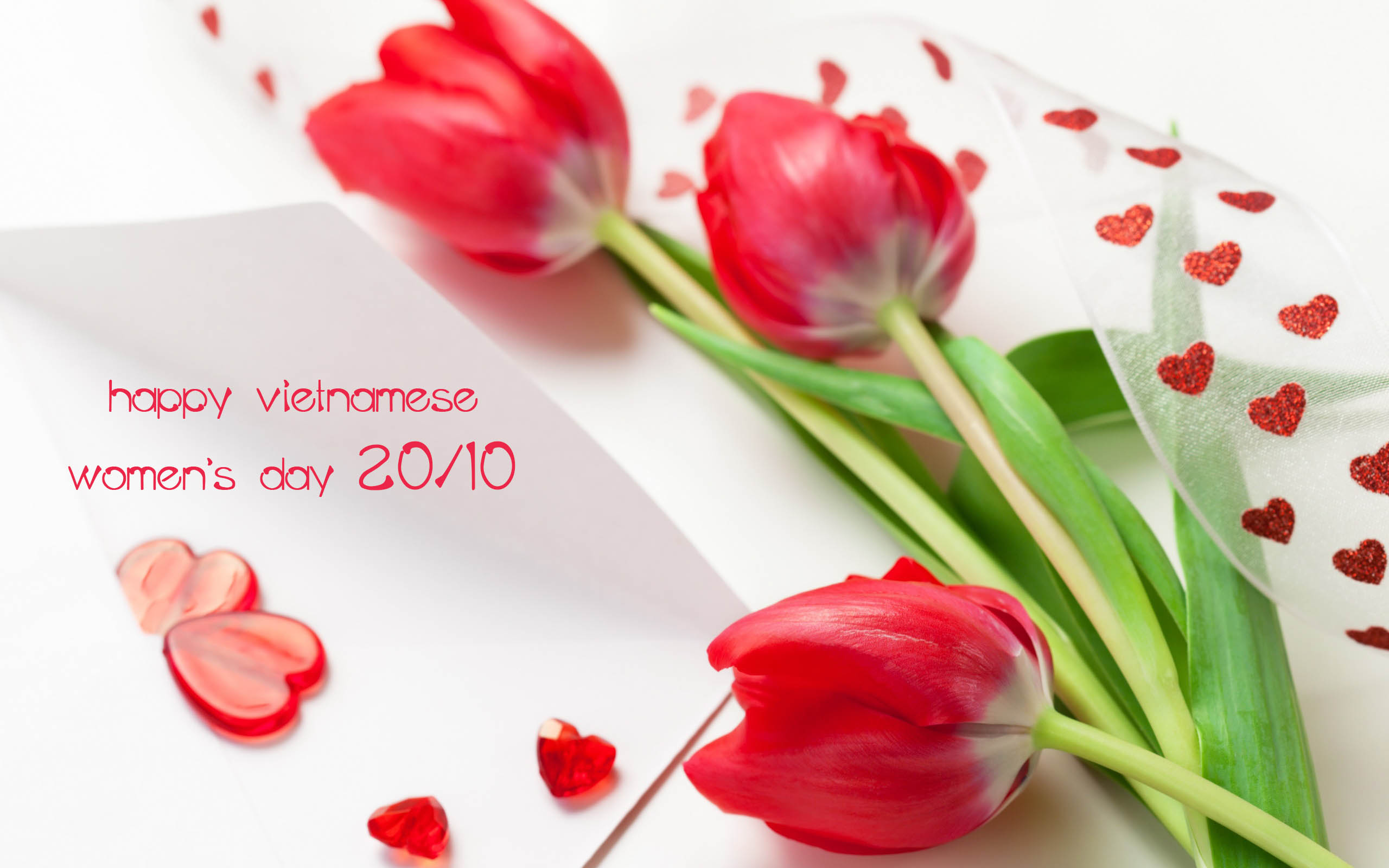 Năm 2024 đến rồi, hãy bày tỏ tình yêu thương của bạn với người phụ nữ đặc biệt trong cuộc đời bạn bằng những chiếc thiệp chúc mừng Ngày 20/