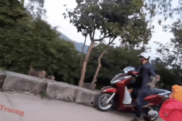 Đi xe máy vào chùa bắt trộm khỉ con, người đàn ông bị đàn khỉ lớn kêu gào đuổi theo đòi lại