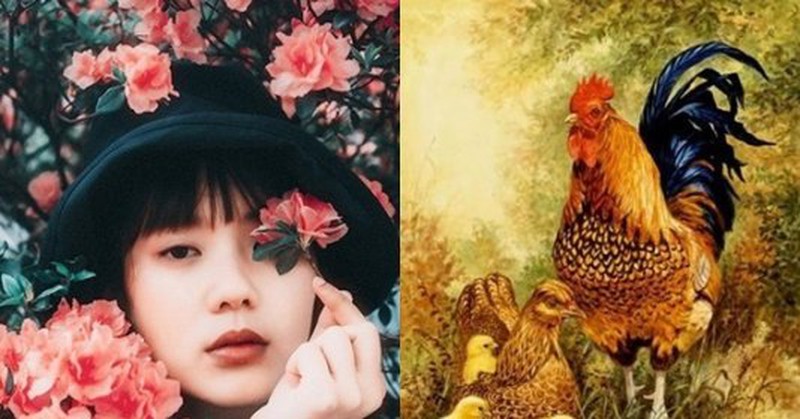 Tử vi trong 90 ngày tới: 3 con giáp vướng tai ương, cẩn thận kẻo rơi vào tranh chấp kiện tụng không đáng có