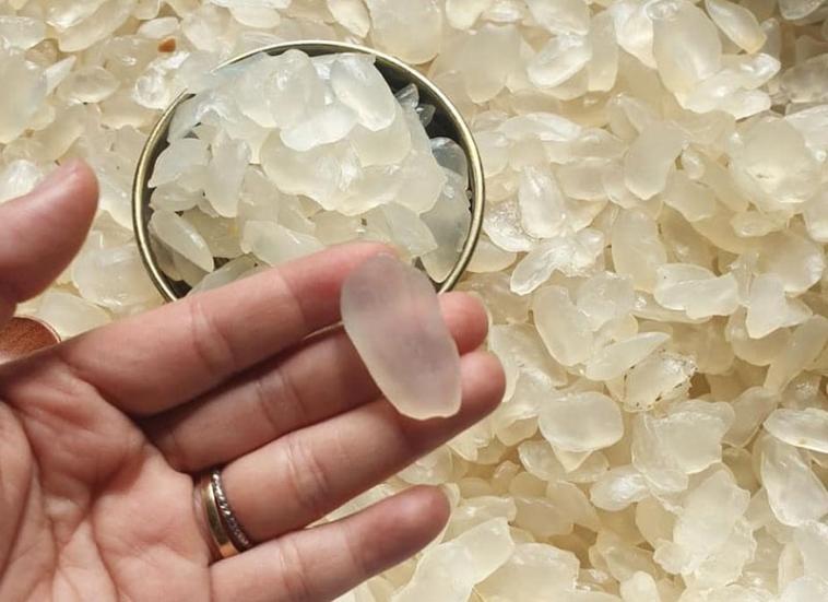 'Chín hạt gạo bằng mấy hạt cơm?': Ai trả lời đúng xứng đáng 10 điểm
