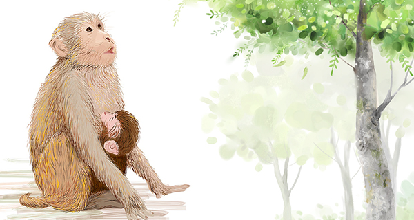 3 tuổi có tài có đức được Thần Phật chở che, tháng 9 kiếm bộn tiền, tháng 10 thành tỷ phú