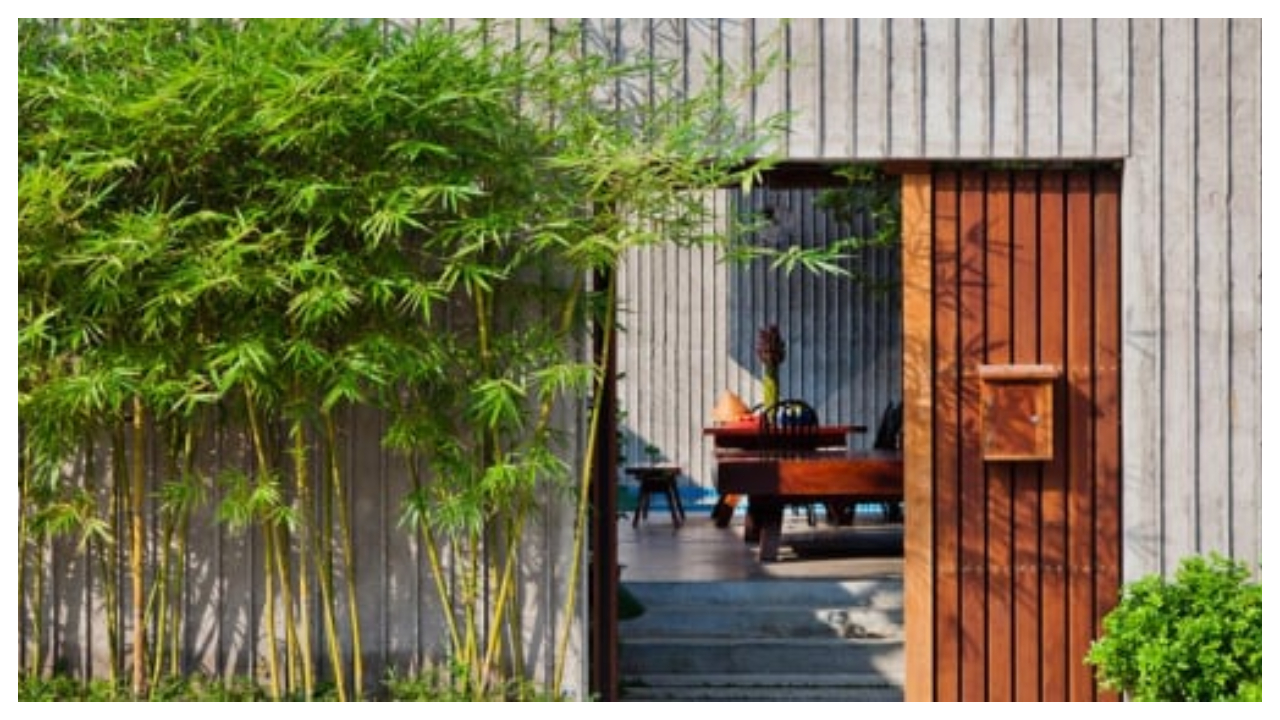 Tổ tiên chỉ rõ: 4 loại cây trồng trước nhà nghèo khổ nợ nần, trồng sau nhà Thần Tài giữ của, giàu 3 đời