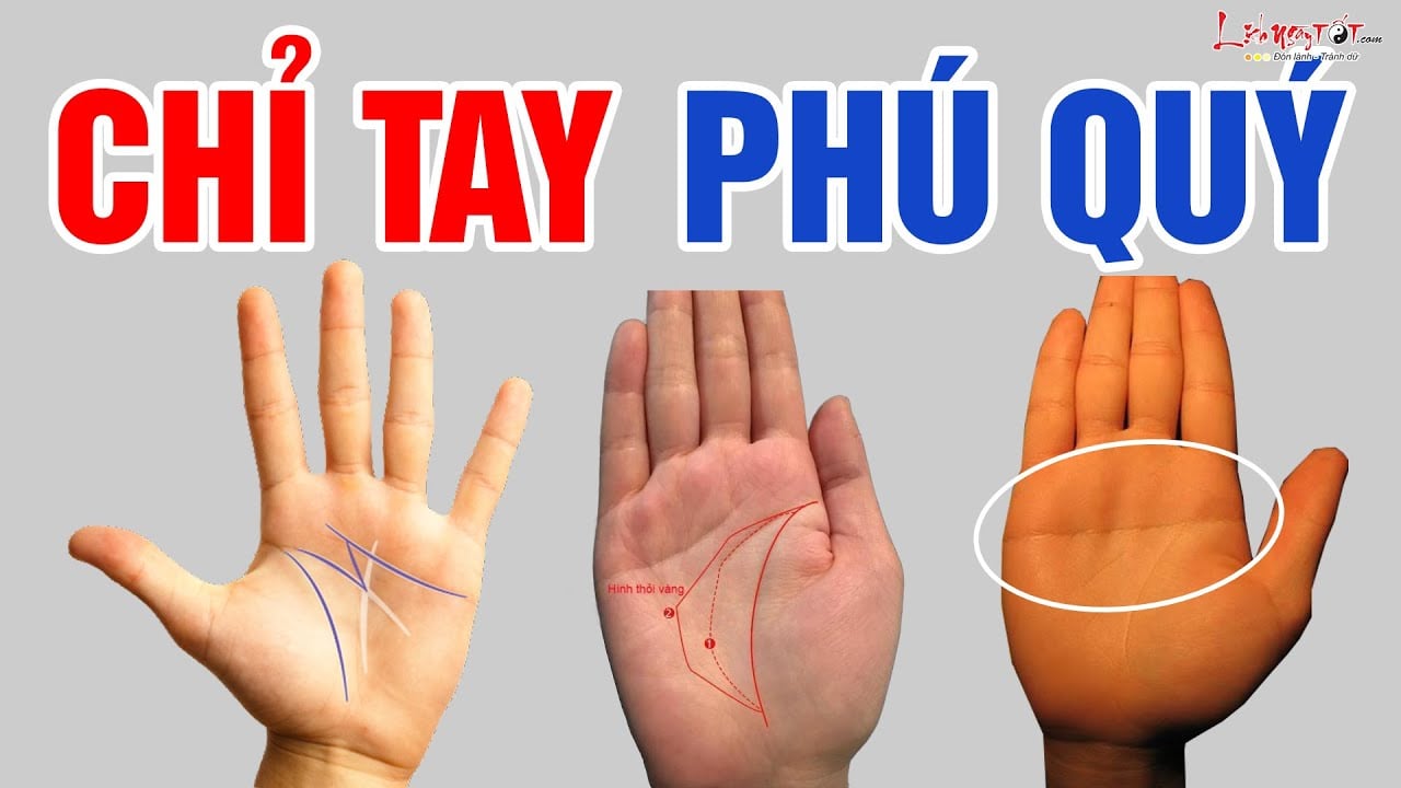 Dù nam hay nữ lòng bàn tay có 4 điểm này: Chúc mừng bạn có số hưởng, không thành tỷ phú cũng đại gia