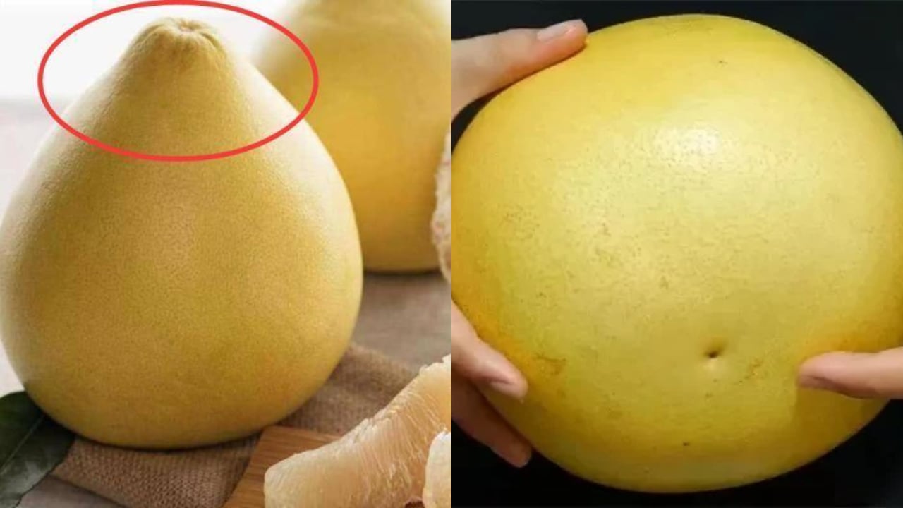 Biết mẹo này khi mua bưởi quả nào quả nấy mỏng vỏ, mọng nước lại ngọt lịm