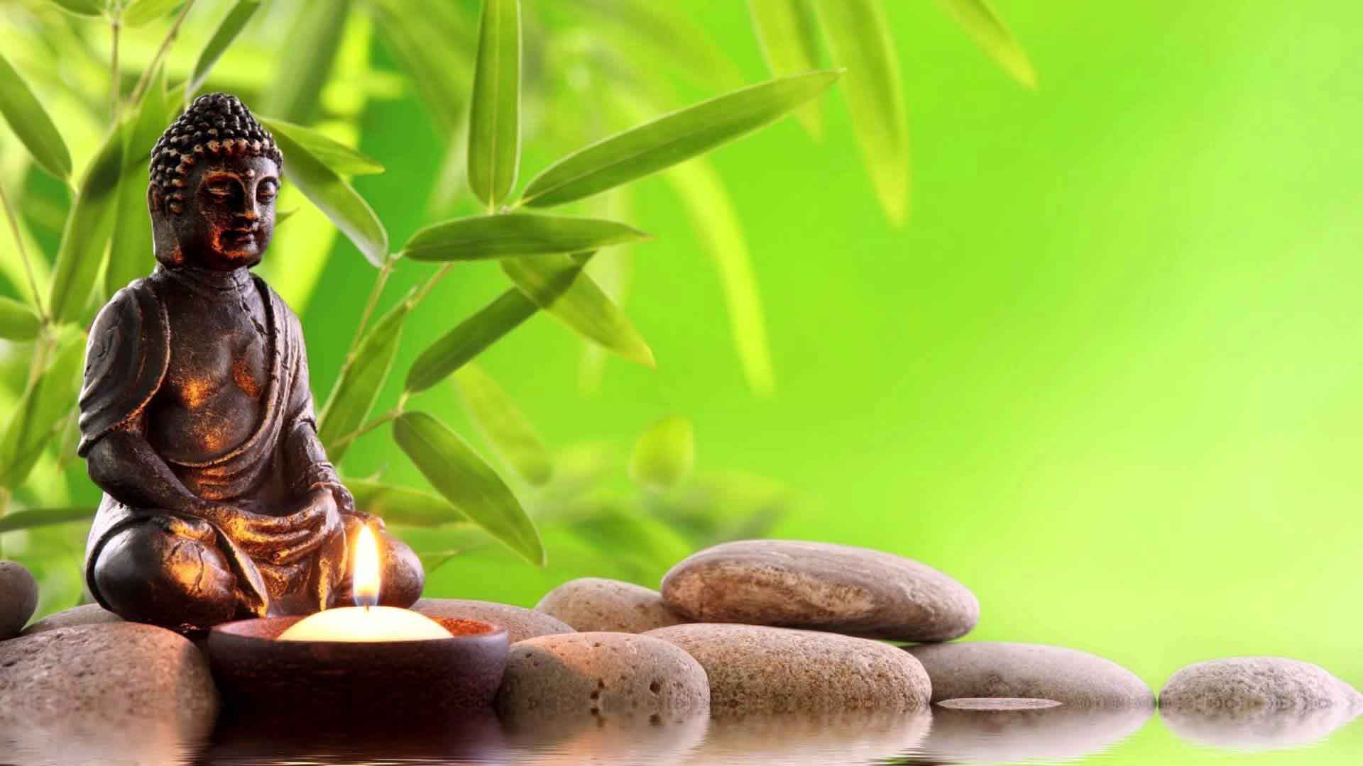 5 đức tính của người có vận mệnh tốt, ngồi không cũng có quý nhân phù trợ: Bạn có là người như vậy