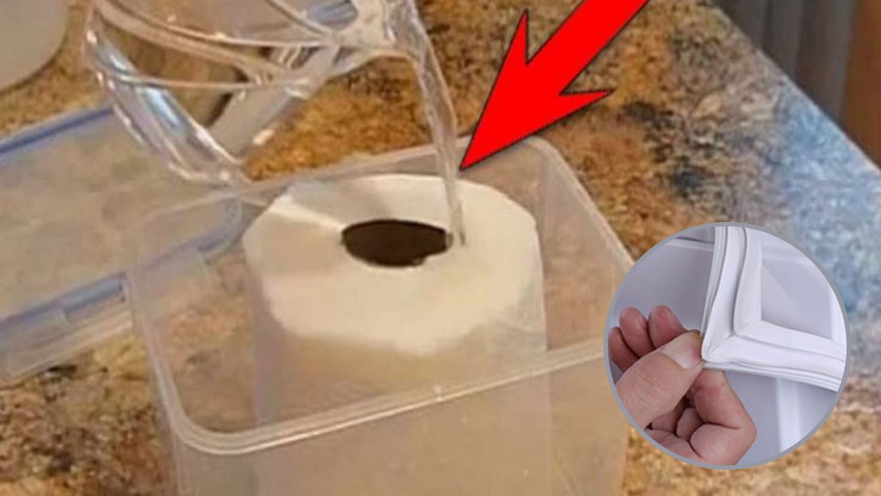 Đổ giấm trắng vào giấy vệ sinh: Công dụng "bạc triệu" giải quyết nhiều vấn đề trong nhà cực kỳ nhanh gọn