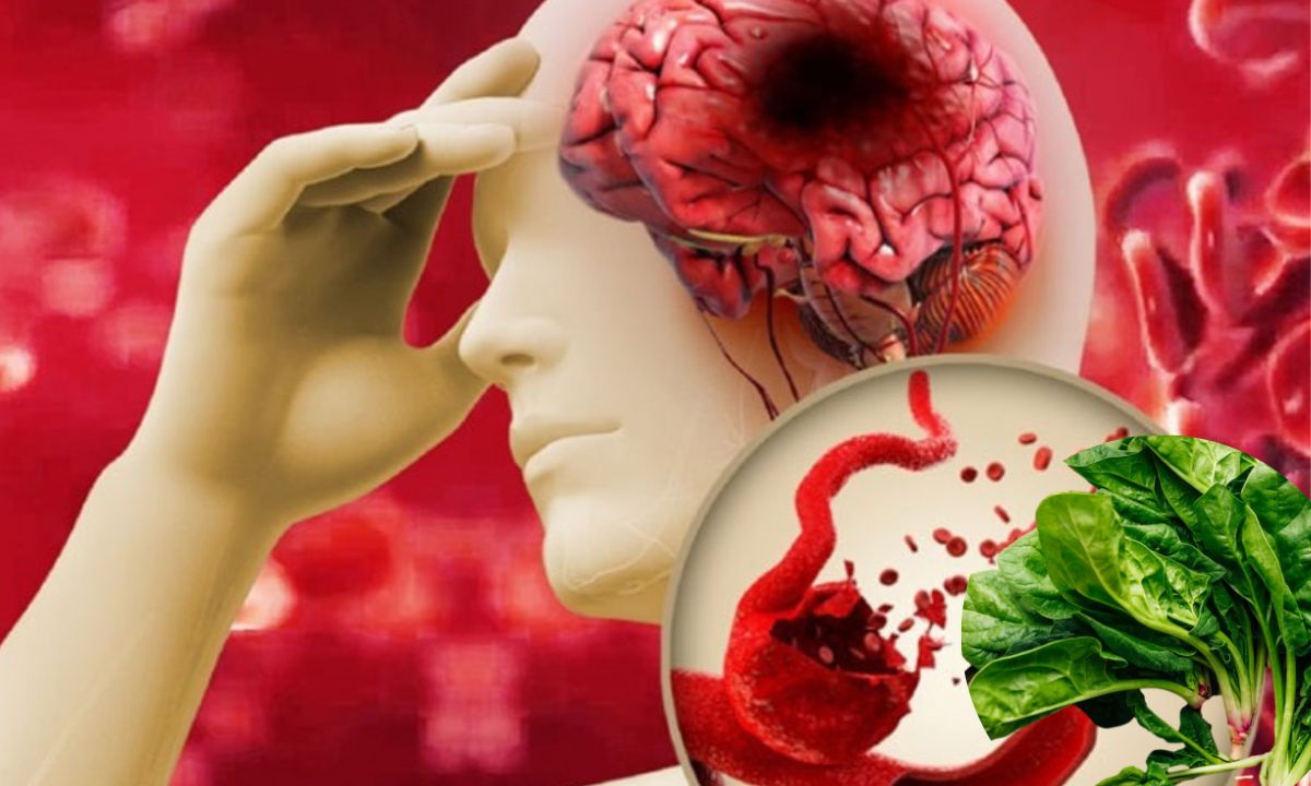 Loại rau 'đẩy máu' lên não, ổn định huyết áp nhanh nhanh chóng