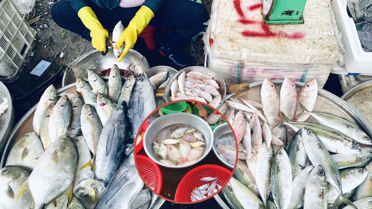 Người bán cá tiết lộ: Mua cá không cần phải to, cứ chọn loại này vừa ngon, vừa nhiều thịt lại ít chất độc