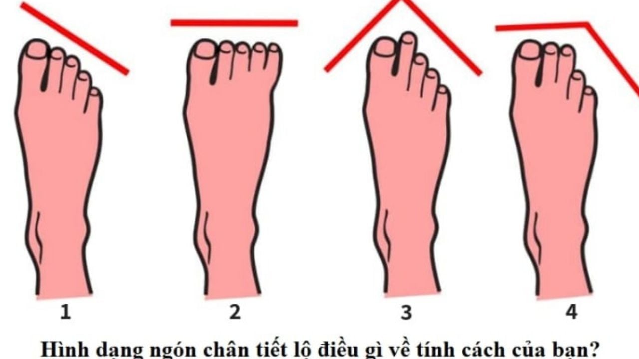 Thầy tướng số nói chẳng sai: "Nhìn ngón chân, biết tương lai giàu sang hay khốn khó"